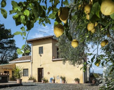 Independent and Panoramic country-house at the sea, surrounded by lemon trees – Casa Limone + Casa Mandarino