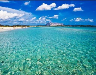 tricolale in Sardegna San teodoro