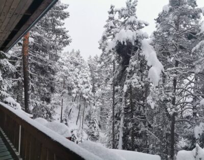 Chalet nel bosco sotto l’Antelao 10Km da Cortina