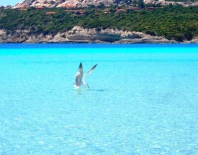 Splendido Mono vista mare con Wi-fi a 100 m. dalla spiaggia