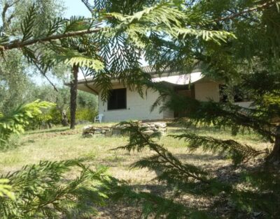 La Bella Villa Degli Ulivi Nel Cilento Vicinissima A Paestum